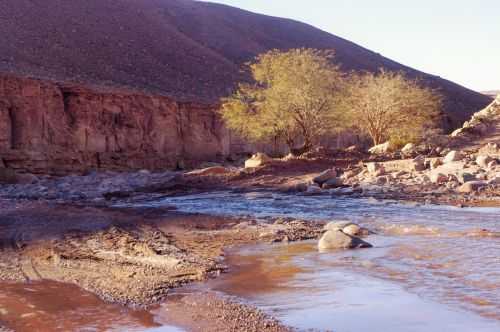 TREKKING NEL DESERTO DI ATACAMA 2015